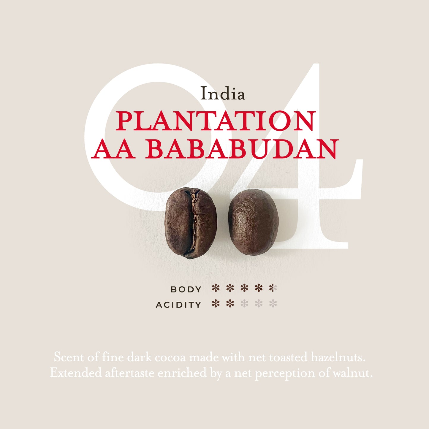 Monorigine | India Plantation Bababudan | 250 gr