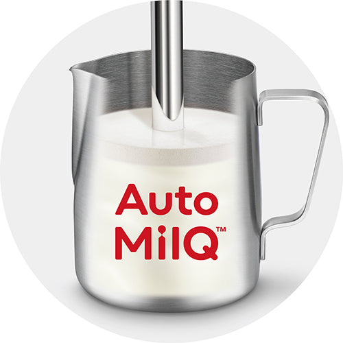 bambino plus automilq