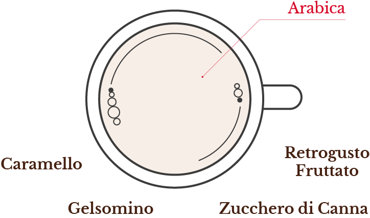 Perchè scegliere una miscela di caﬀè?